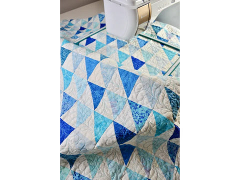 Amelie Scott Designs Custom Quilting On Your Embroidery Machine Book & Designs