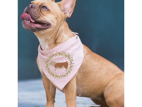 A fawn French Bulldog wears a pink bandana with a bulldog and floral wreath design.