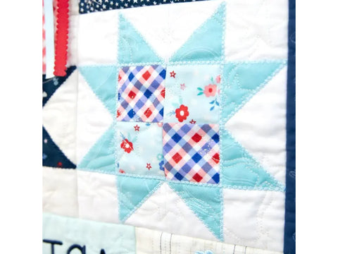 A close-up of a quilt block featuring a light blue star with a plaid and floral center.