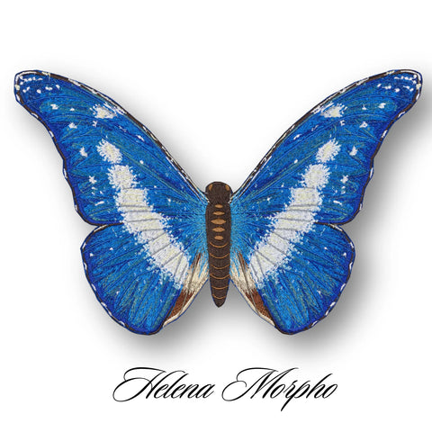 Anita Goodesign Butterfly Studies Book