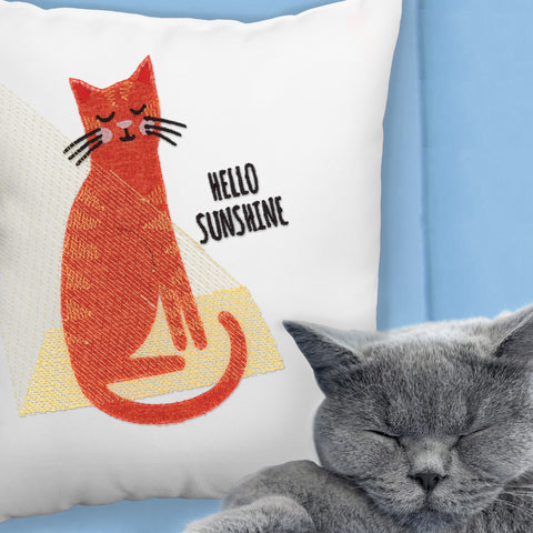 OESD Meow You Doin