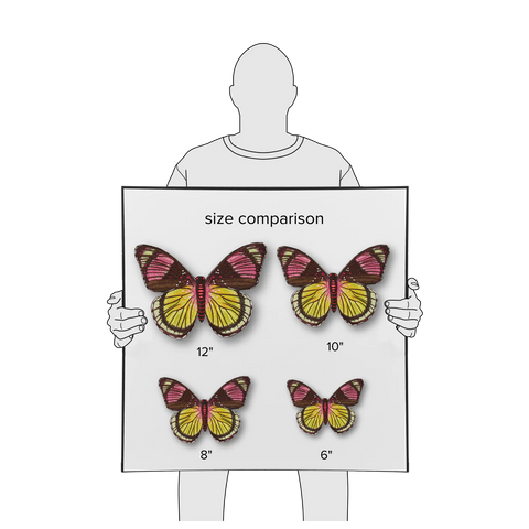 Anita Goodesign Butterfly Studies Book