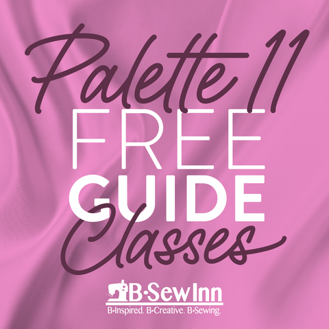 Palette 11 Digitizing Software