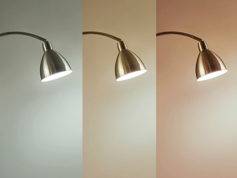 NEW! Daylight Flexi-Vision 2
